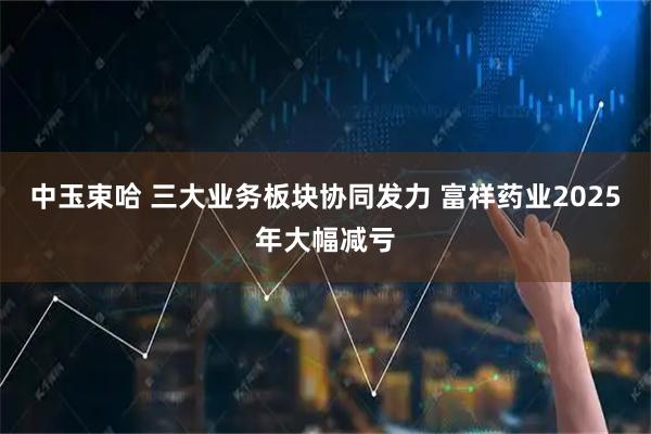 中玉束哈 三大业务板块协同发力 富祥药业2025年大幅减亏