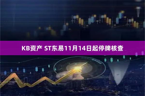 KB资产 ST东易11月14日起停牌核查