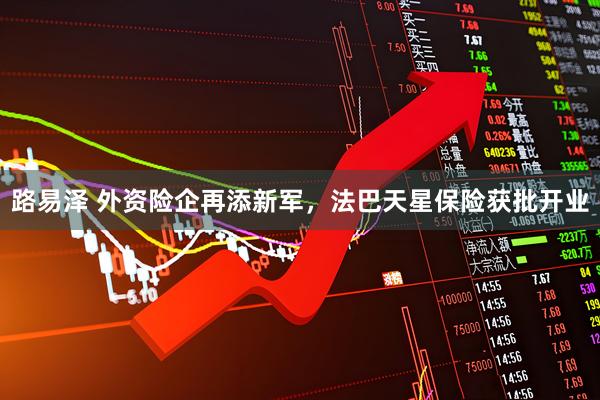 路易泽 外资险企再添新军，法巴天星保险获批开业