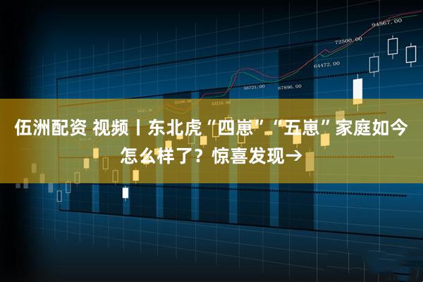 伍洲配资 视频丨东北虎“四崽”“五崽”家庭如今怎么样了？惊喜发现→