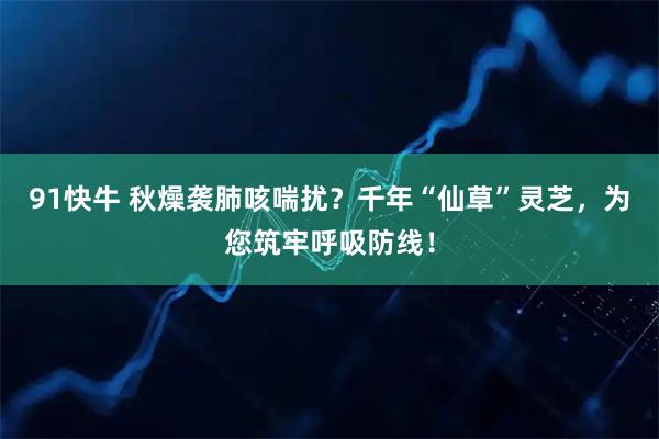 91快牛 秋燥袭肺咳喘扰？千年“仙草”灵芝，为您筑牢呼吸防线！